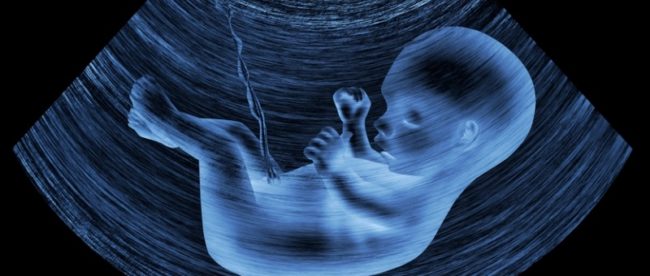Как проходит УЗИ на 18 неделе беременности