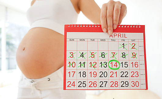 Через сколько дней задержки узи покажет беременность thumbnail