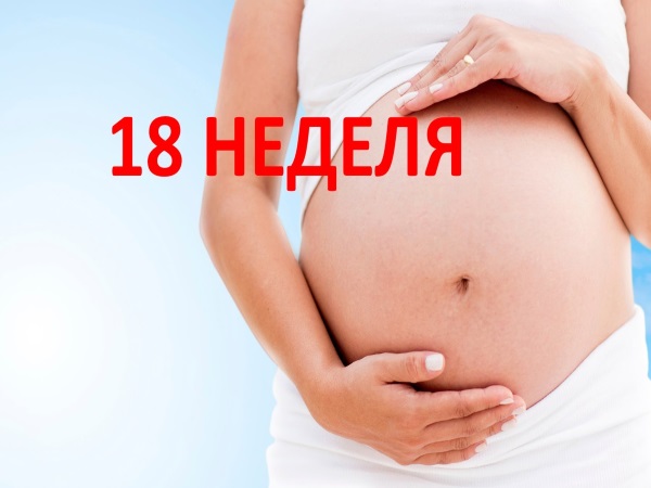 Какие изменения в развитии ребенка можно увидеть на 18 неделе беременности