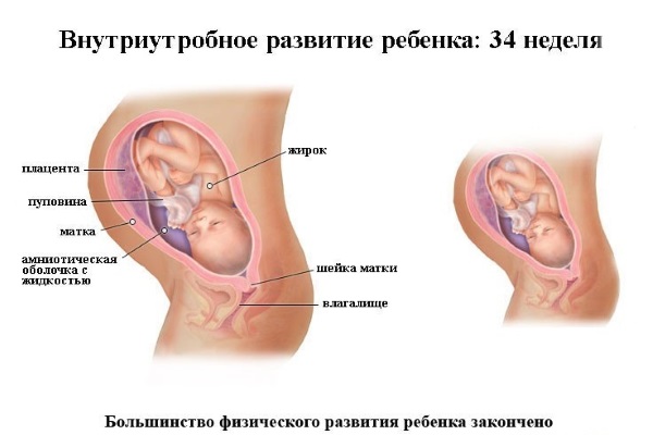 Особенности развития плода на 34 неделе беременности